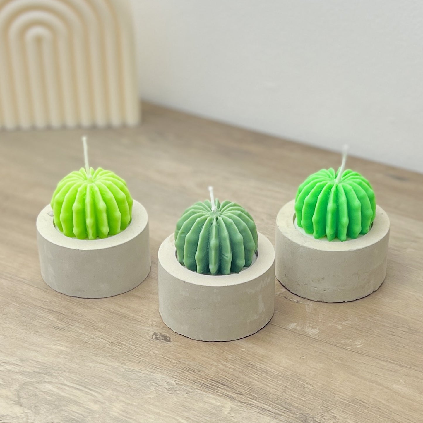 Barrel Cactus Candles in Handmade Concrete Pots - Cacti Gifts