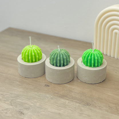 Barrel Cactus Candles in Handmade Concrete Pots - Cacti Gifts