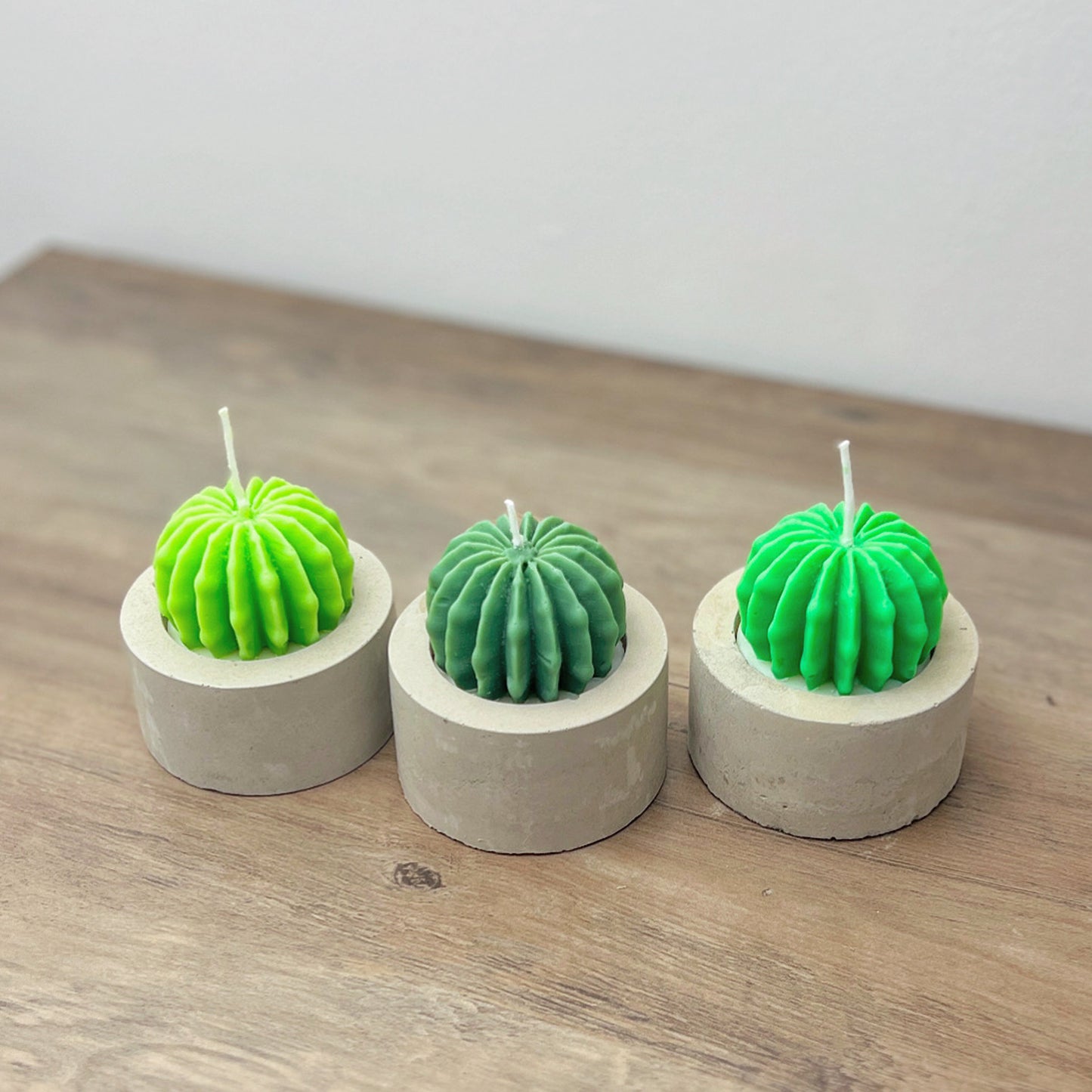 Barrel Cactus Candles in Handmade Concrete Pots - Cacti Gifts