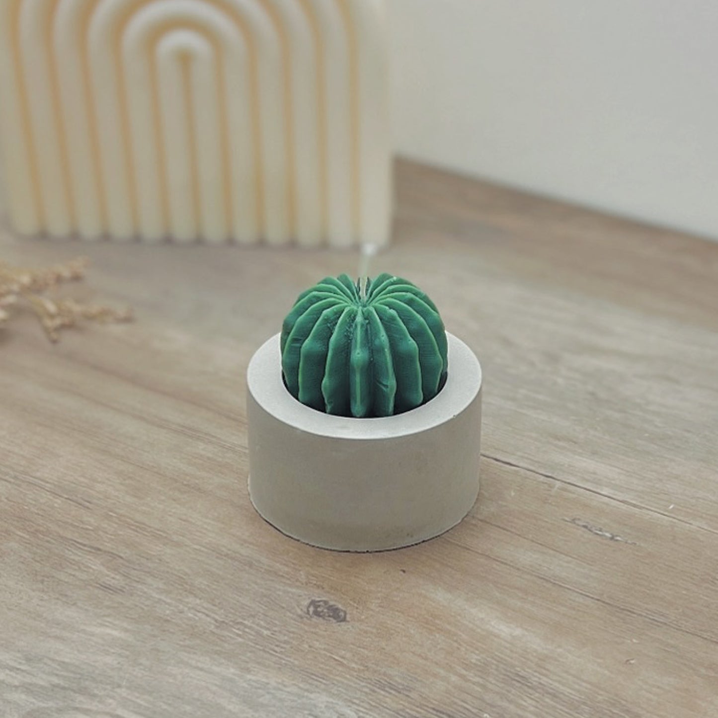 Barrel Cactus Candles in Handmade Concrete Pots - Cacti Gifts