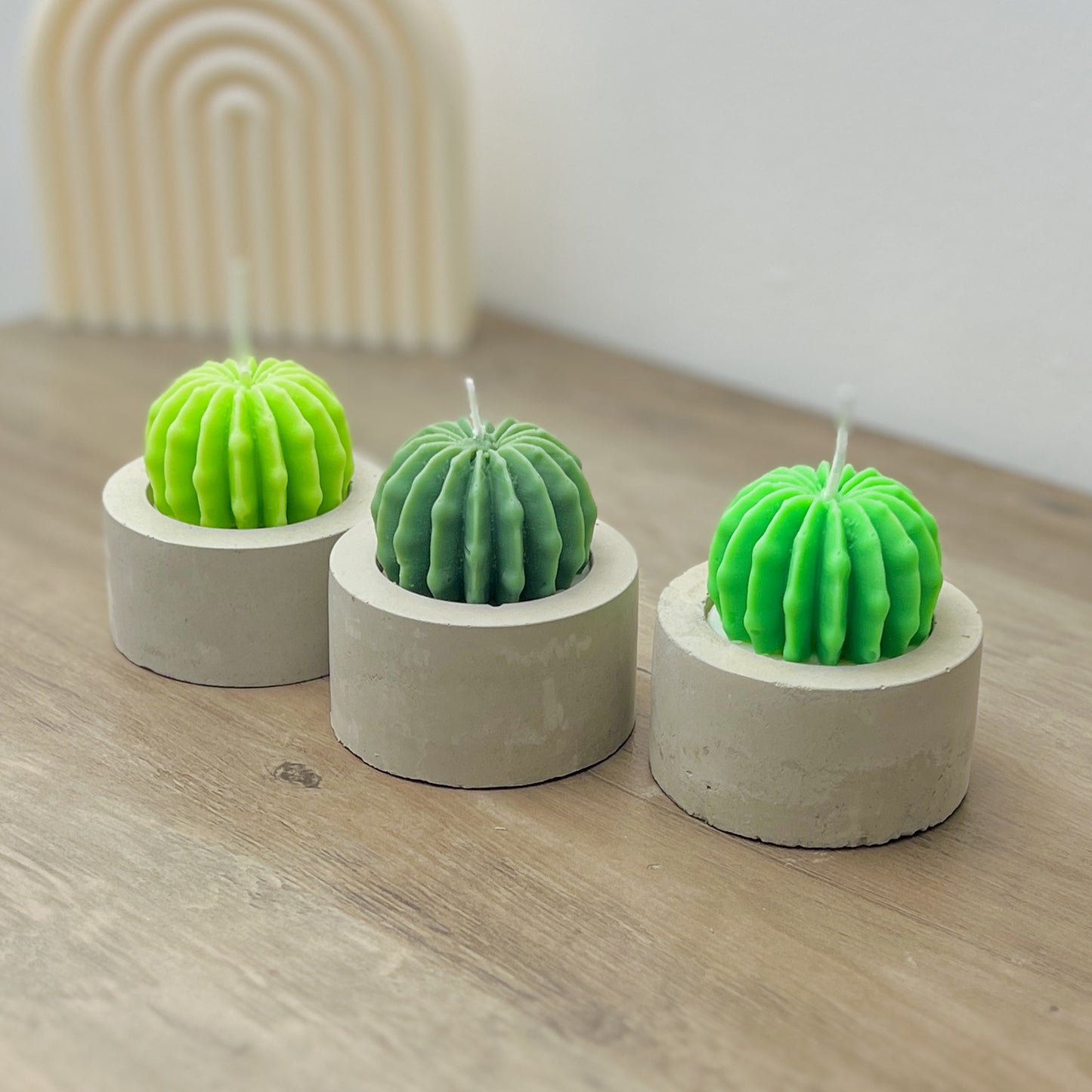 Barrel Cactus Candles in Handmade Concrete Pots - Cacti Gifts