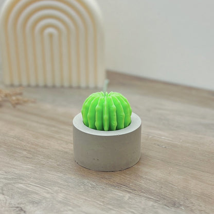 Barrel Cactus Candles in Handmade Concrete Pots - Cacti Gifts