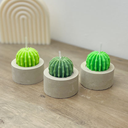 Barrel Cactus Candles in Handmade Concrete Pots - Cacti Gifts